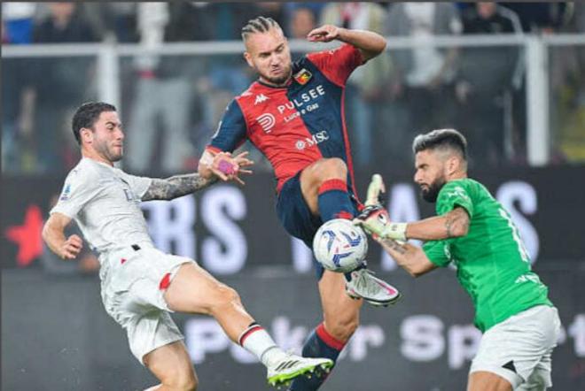 切断林葳和 切断林葳和