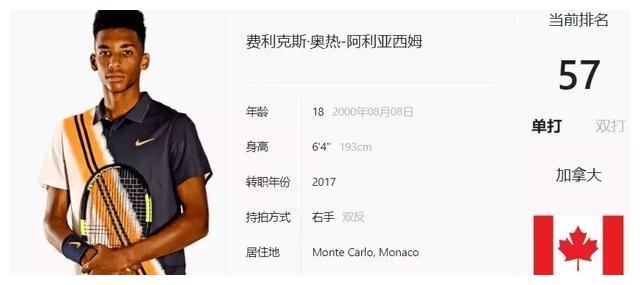 的迅速反应 的迅速反应